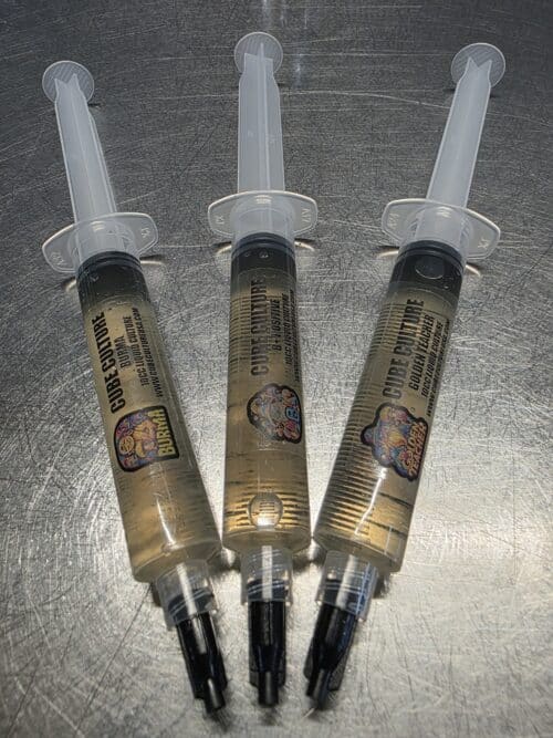 Cube Culture Beginner 3 PACK - Golden Teacher / B+ / Burma - Isolated Liquid Culture Starter Pack - Image 5