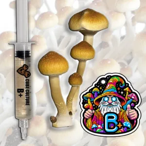 B+ (B Positive) Isolated mushroom liquid culture