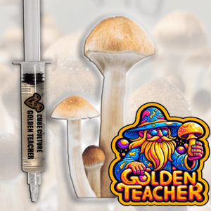 Golden Teachers (GT) - Isolated Liquid Culture