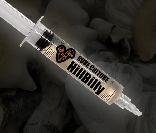 Hillbilly - Isolated Liquid Culture - Image 4