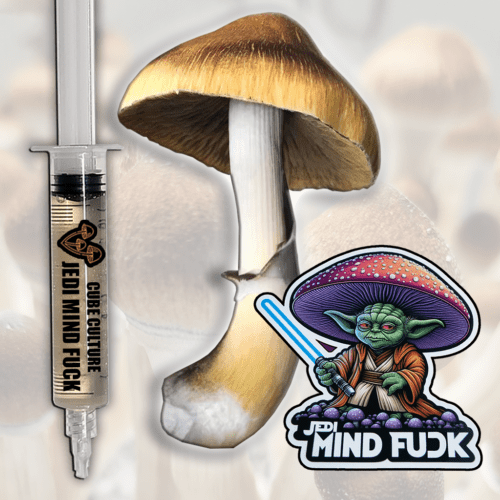 Jedi Mind F**k (JMF) - Isolated Liquid Culture