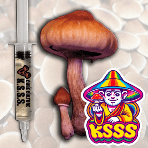 KSSS Koh Samui Super Strain - Isolated Liquid Culture