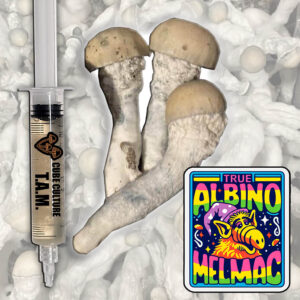 True Albino Melmac (TAM) - Isolated Liquid Culture