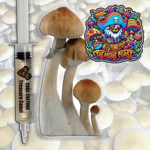 Treasure Coast liquid culture mushroom