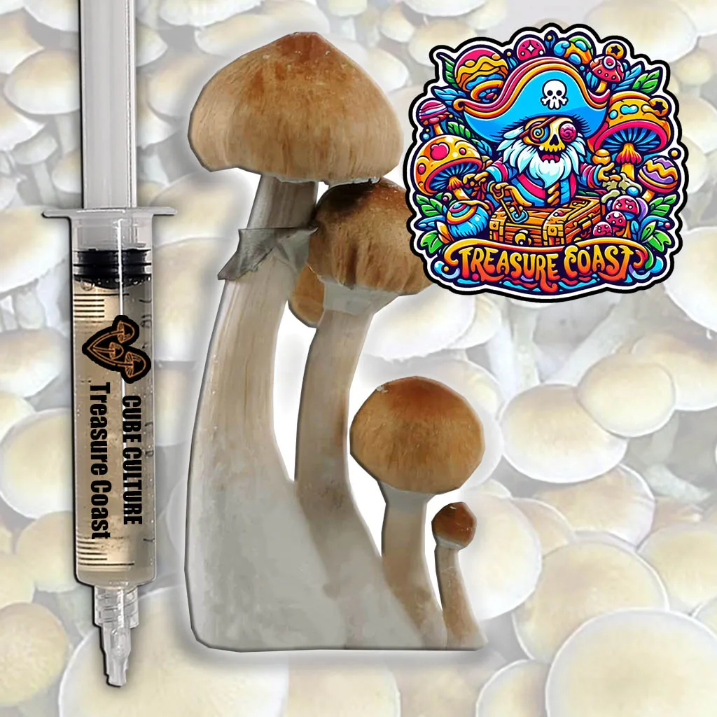 Treasure Coast liquid culture mushroom