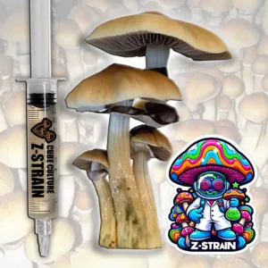 z-strain liquid culture mushroom