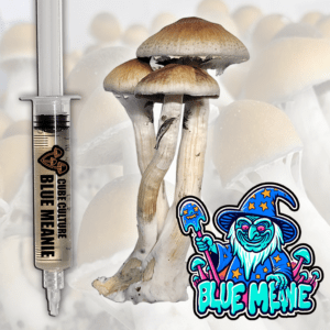 Blue Meanie (Cubensis - NOT PAN CYANS) - Isolated Liquid Culture