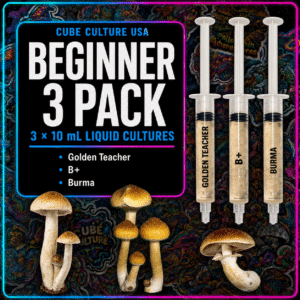 beginner 3 pack mushroom cultures cube culture