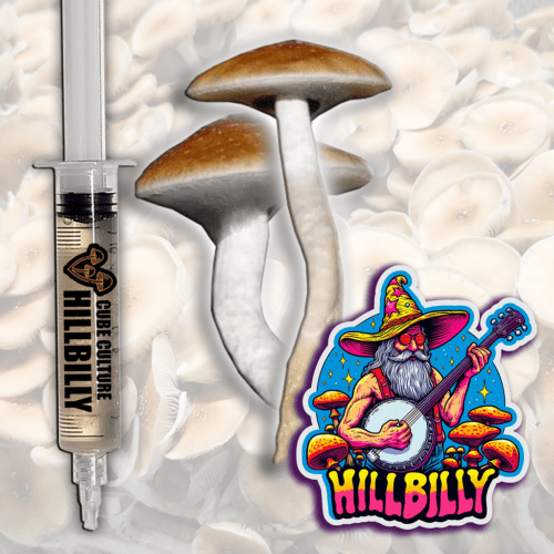 Hillbilly - Isolated Liquid Culture