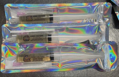 Cube Culture Beginner 3 PACK - Golden Teacher / B+ / Burma - Isolated Liquid Culture Starter Pack - Image 4
