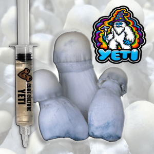 Yeti - Isolated Liquid Culture