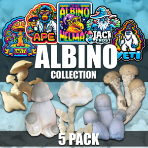 The Albino Collection 5x Multi Pack - Isolated Liquid Culture