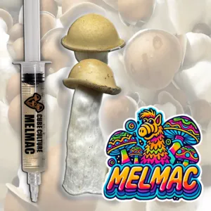Melmac liquid culture mushroom