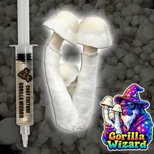 Liquid culture Gorilla Wizard mushroom