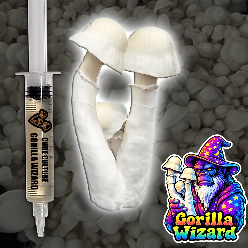 Liquid culture Gorilla Wizard mushroom