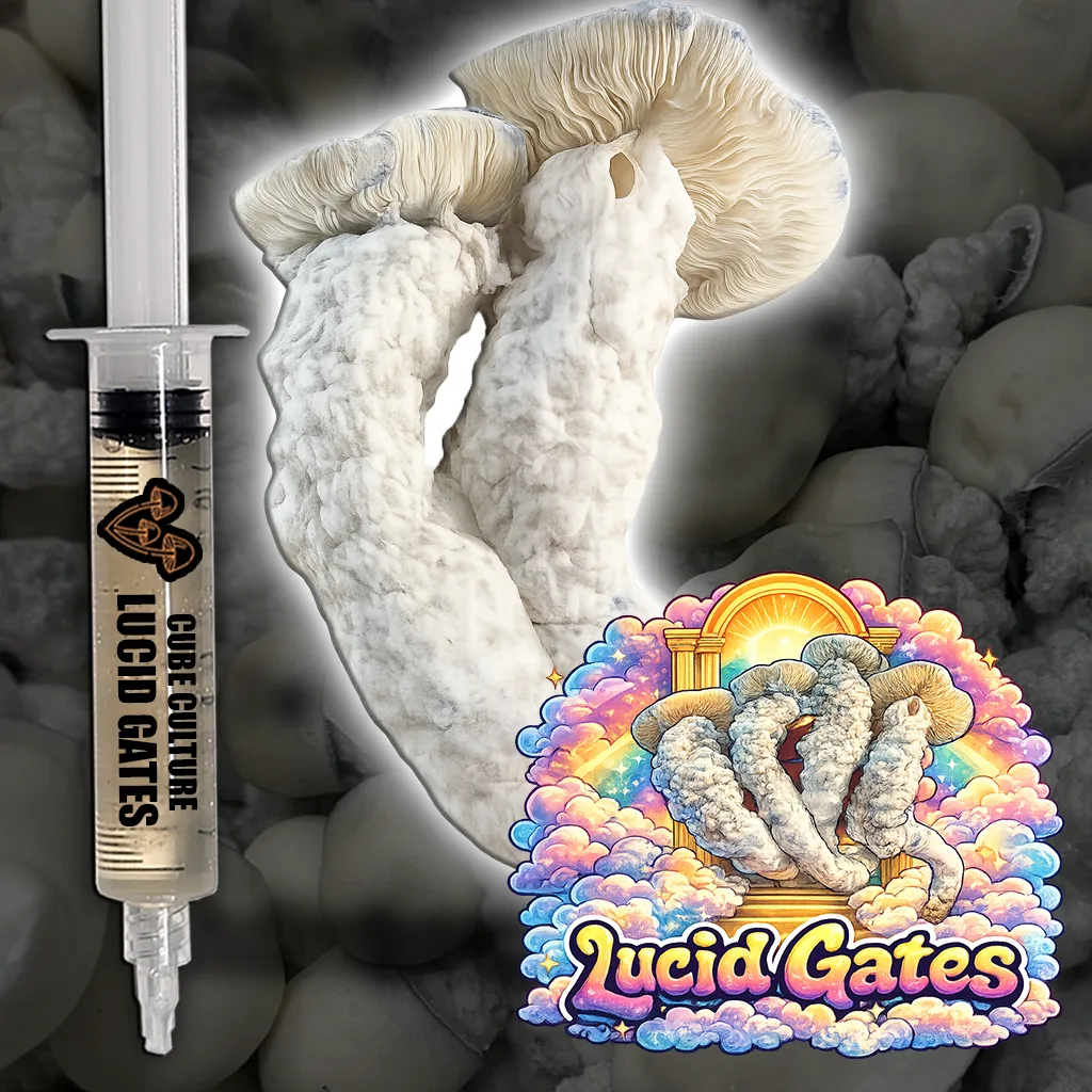 Lucid Gates Liquid Culture