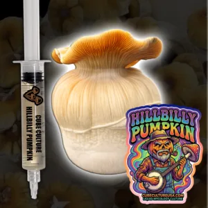 hillbilly pumpkin liquid culture