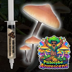 Psilocybe azurescens liquid culture mushroom