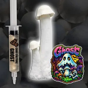 Ghost TAT isolation