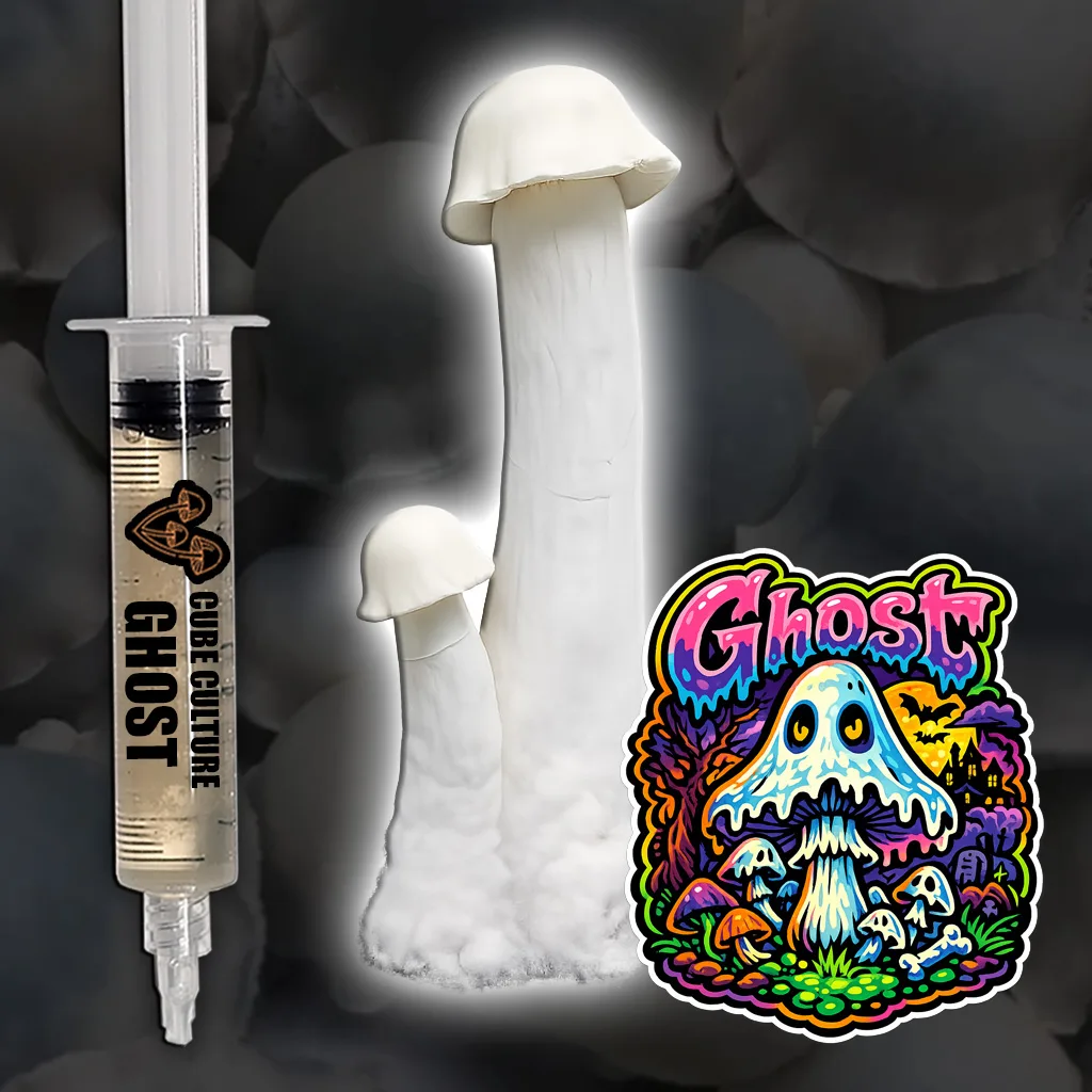 Ghost TAT isolation
