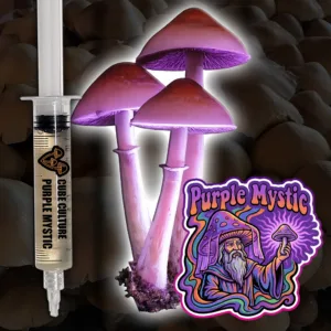 Purple Mystic Liquid Culture