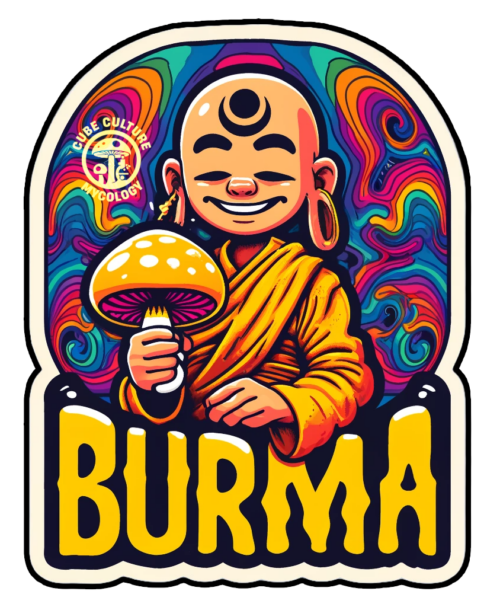 Burma psychedelic monk mushroom sticker artwork
