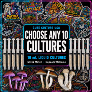 Choose any 10 cultures cube culture mushroom