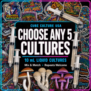 Choose any five 10 mL liquid cultures with five syringes and mushroom cutouts